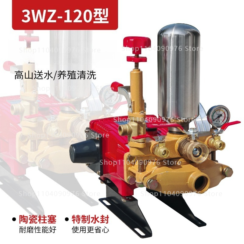 Agriculture Farming Types - 120 Type Three Cylinder Plunger Pump