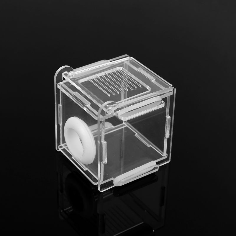 Ant Nest Glass Tube Mini Ant N - Farming Zone recensie en prijs