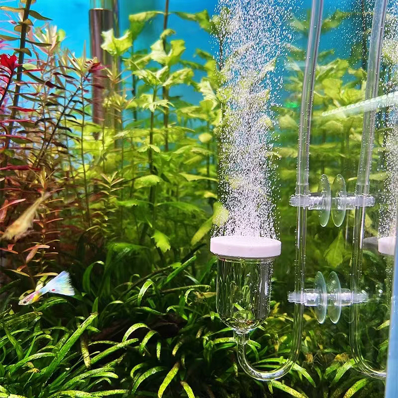 1Set Glass Air Pump Sand Stone - Aquaculture Aerator Pump recensie en prijs