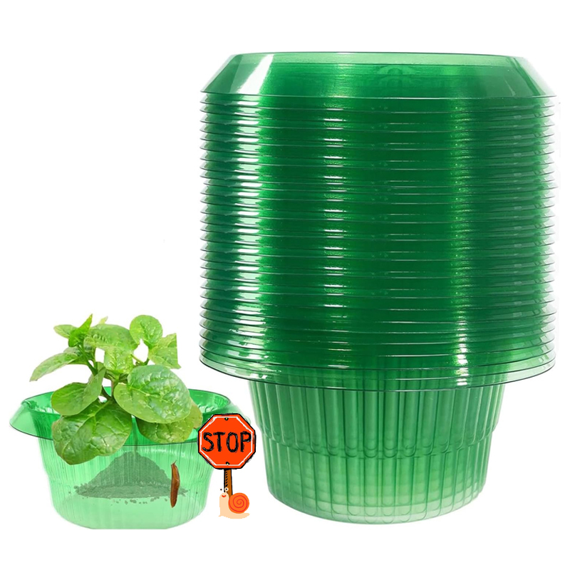 5-25Pcs Plants Slug Protection - Vegetable Transplanter recensie en prijs