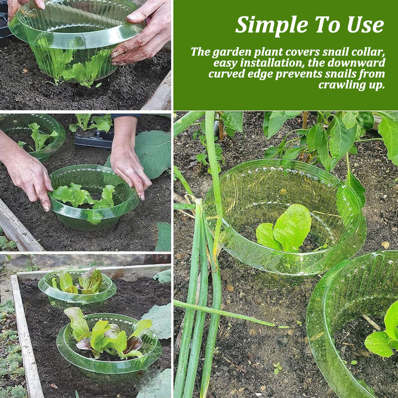5-25Pcs Plants Slug Protection - Vegetable Transplanter recensie en prijs