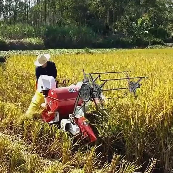 Automatic 13HP New Wheat Rice  - Combine Harvester Mini recensie en prijs