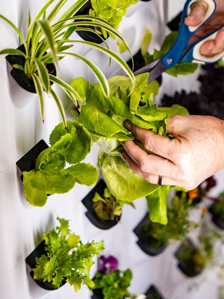 Hydroponic Growing System for  - Farming Zone recensie en prijs