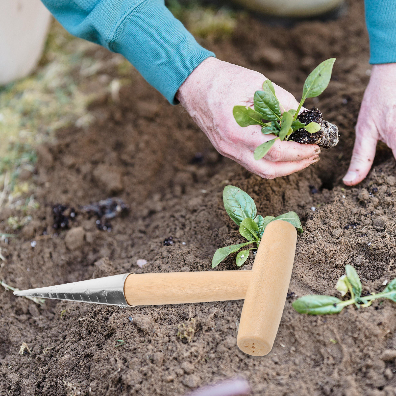 T-Handle Planting Hole Puncher - Vegetable Transplanter recensie en prijs