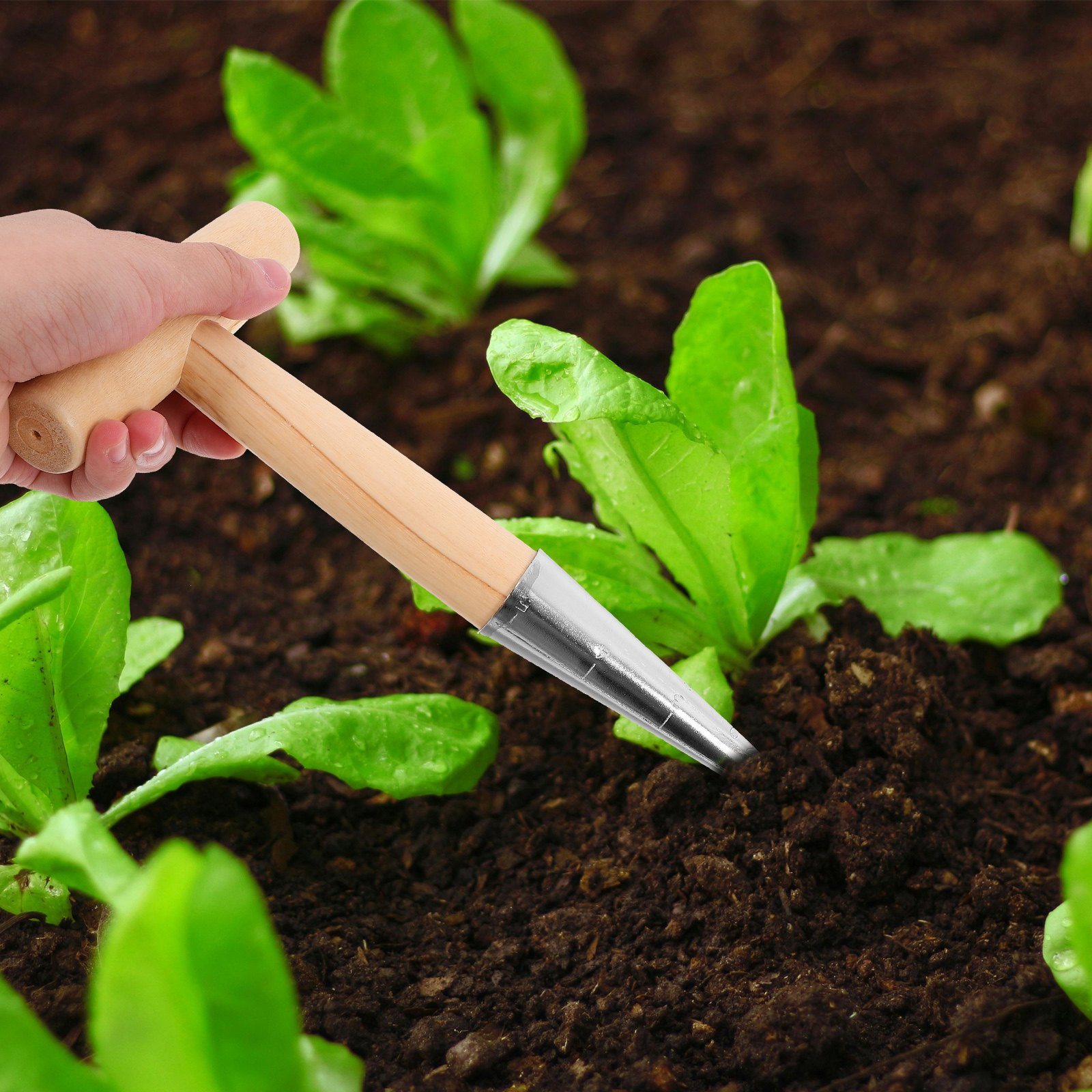 T-Handle Planting Hole Puncher - Vegetable Transplanter recensie en prijs
