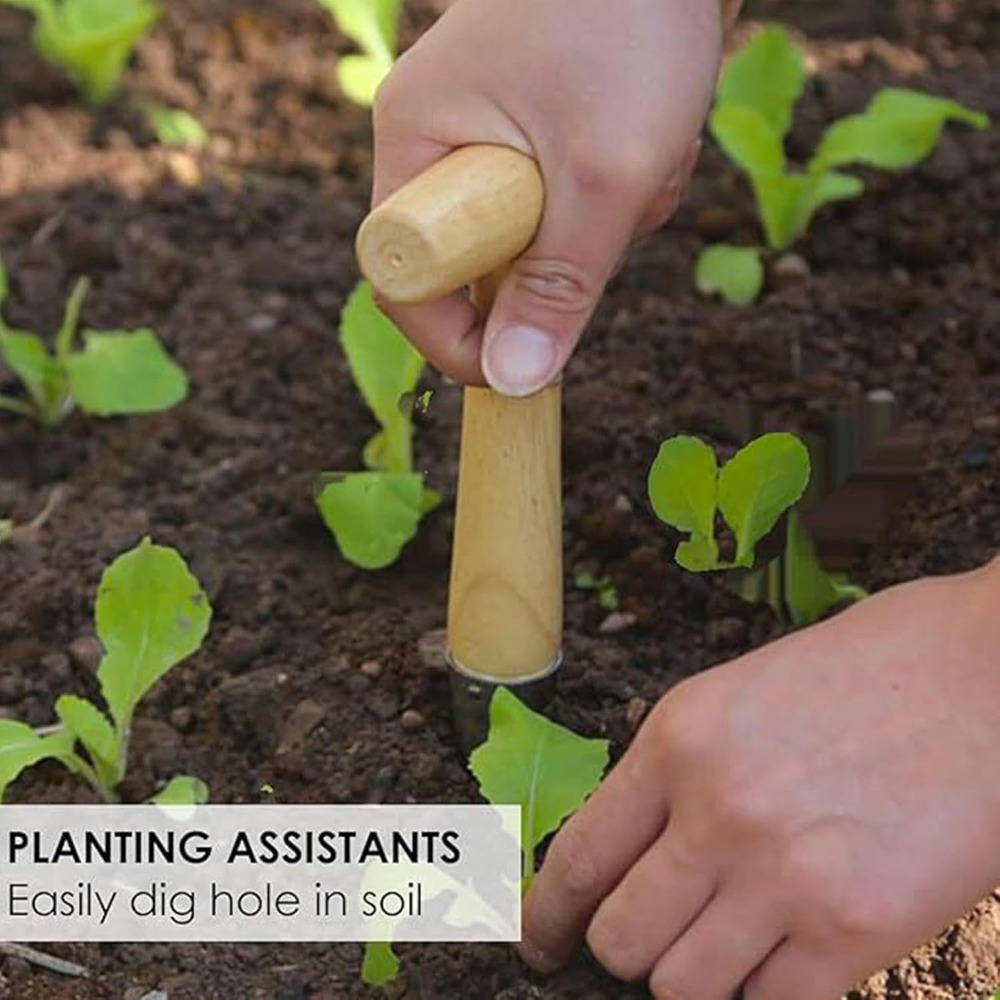 Vegetable Garden Seedling Tran - Vegetable Transplanter recensie en prijs
