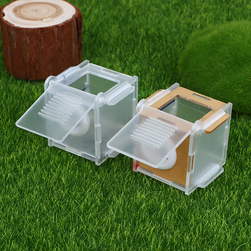 1pc Ant Nest Glass Tube Mini A - Farming Zone recensie en prijs
