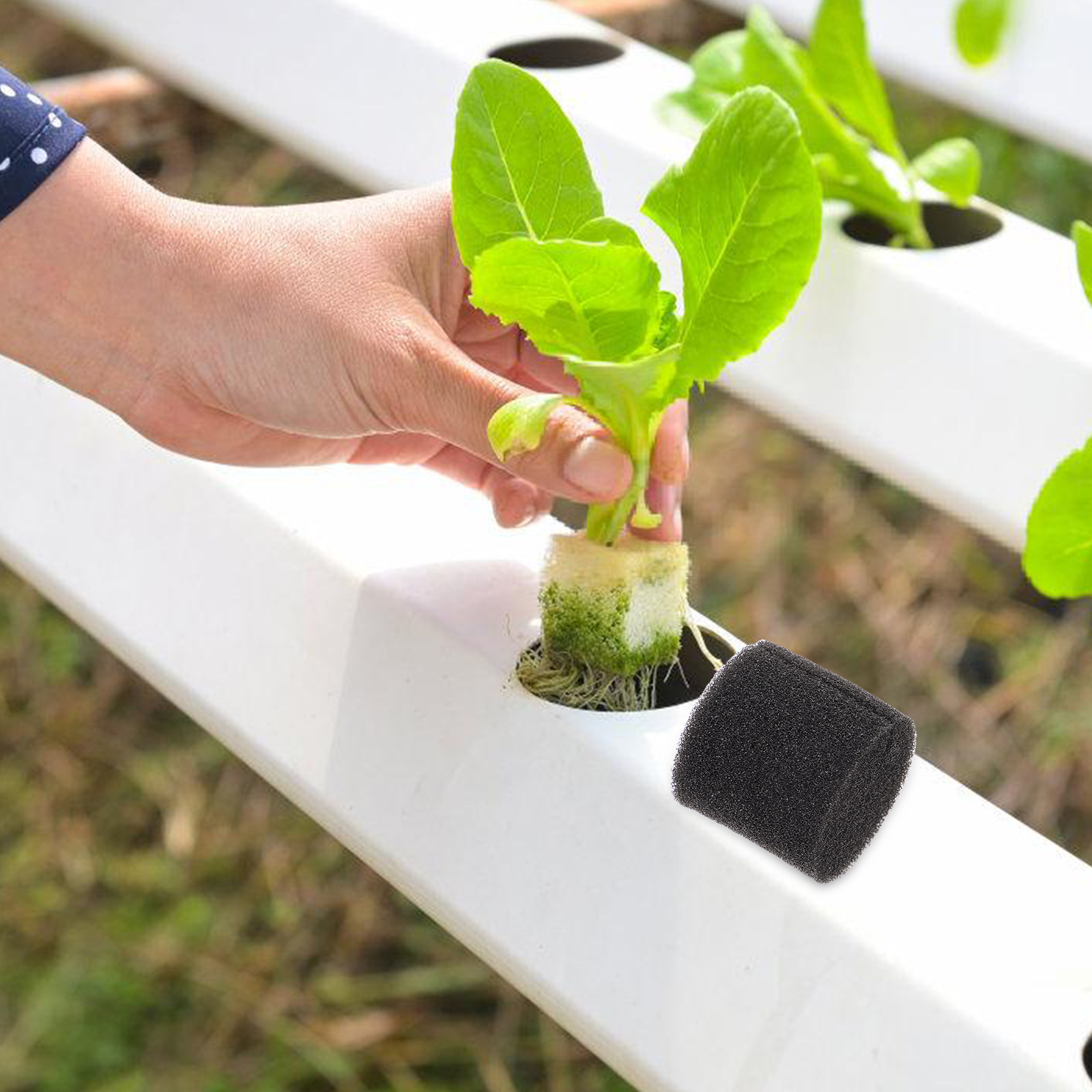 100Pcs Hydroponic Sponge Growi - Vegetable Transplanter recensie en prijs