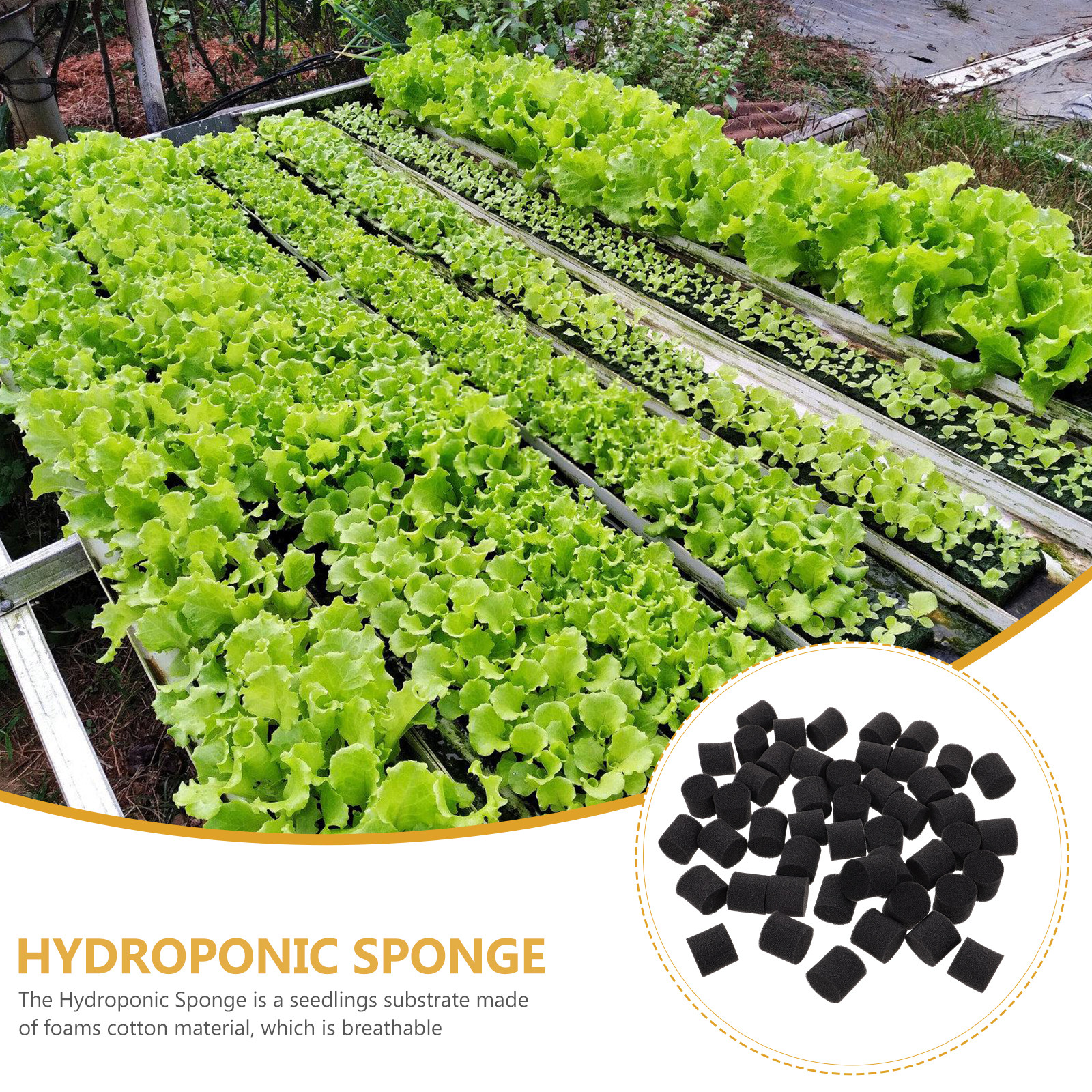 100Pcs Hydroponic Sponge Growi - Vegetable Transplanter recensie en prijs
