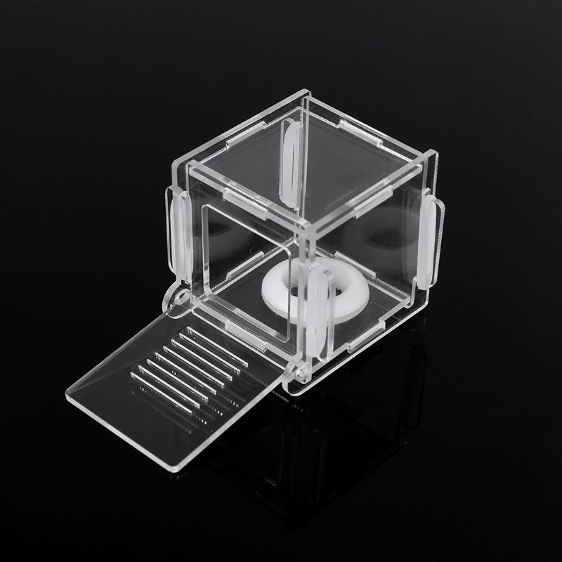 Ant Nest Glass Tube Mini Ant N - Farming Zone recensie en prijs