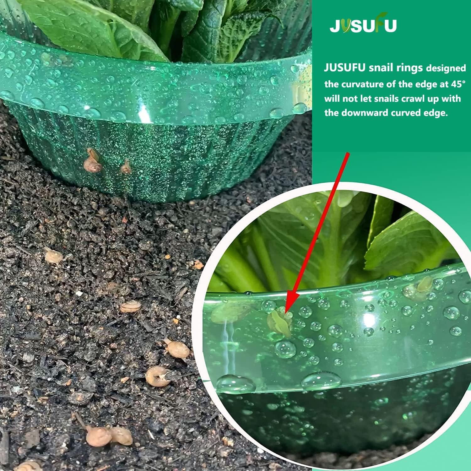 1/30pcs Plants Slug Protection - Vegetable Transplanter recensie en prijs