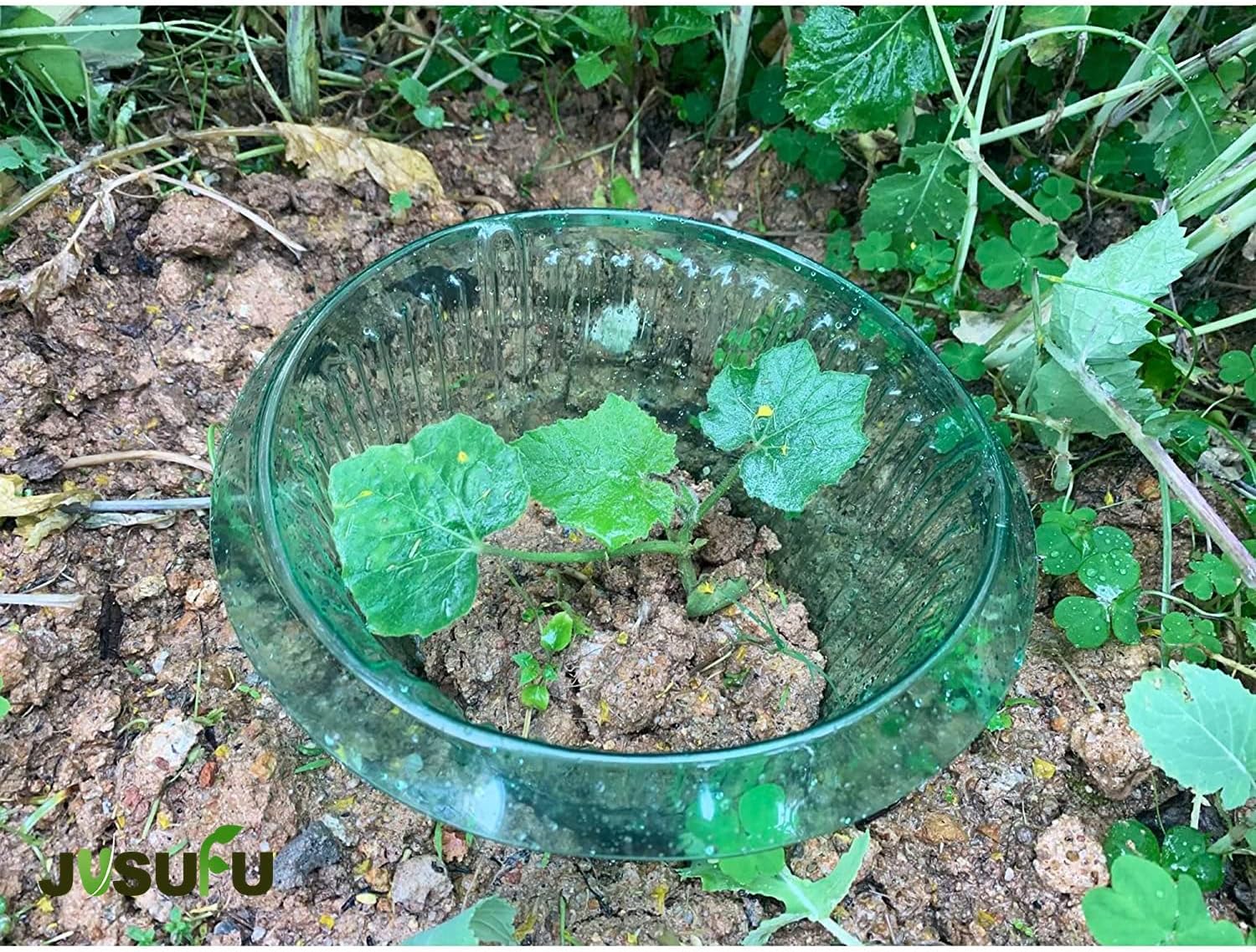 1/30pcs Plants Slug Protection - Vegetable Transplanter recensie en prijs