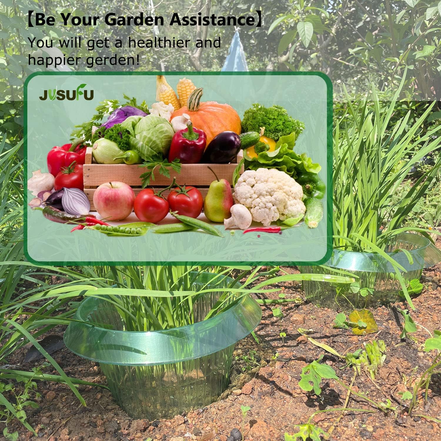 1/30pcs Plants Slug Protection - Vegetable Transplanter recensie en prijs