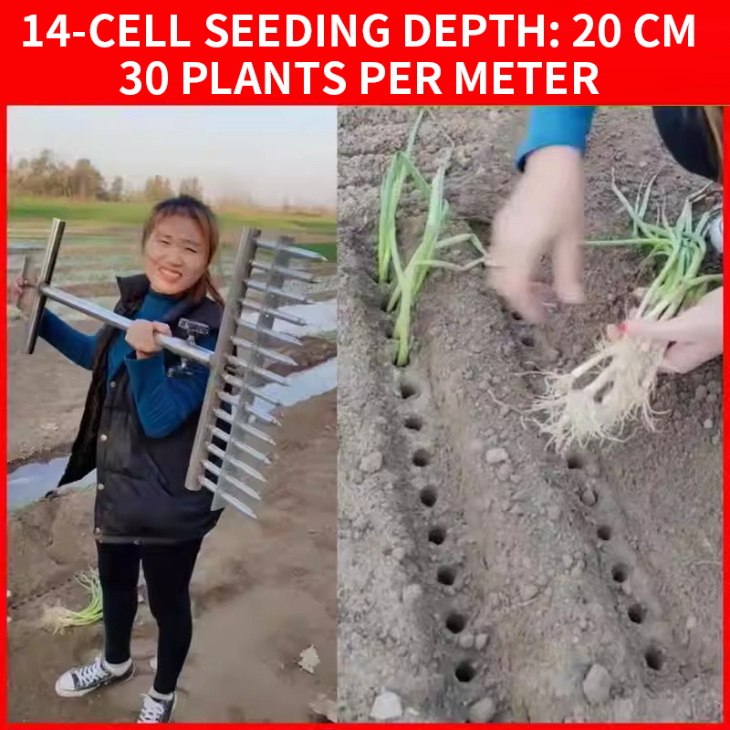 Onion Planter, Rice Transplant - Vegetable Transplanter recensie en prijs