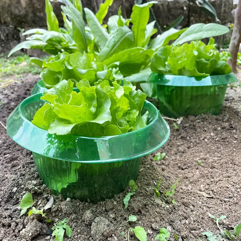 Plants Slug Protection Rings V - Vegetable Transplanter recensie en prijs