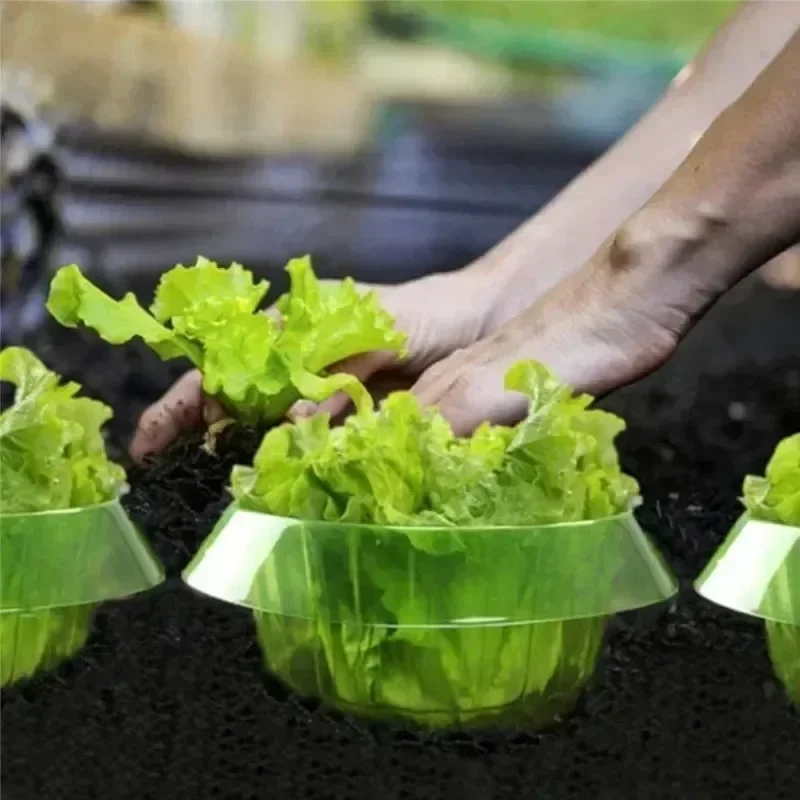 Plants Slug Protection Rings V - Vegetable Transplanter recensie en prijs