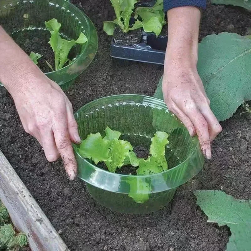 Plants Slug Protection Rings V - Vegetable Transplanter recensie en prijs