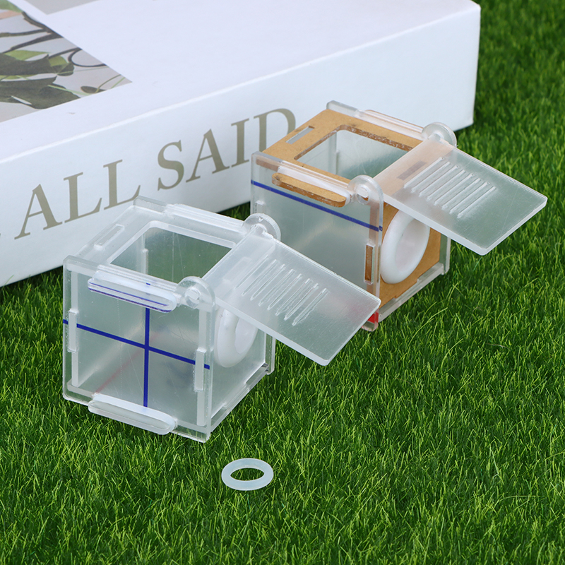 Acrylic high transparency ant  - Farming Zone recensie en prijs