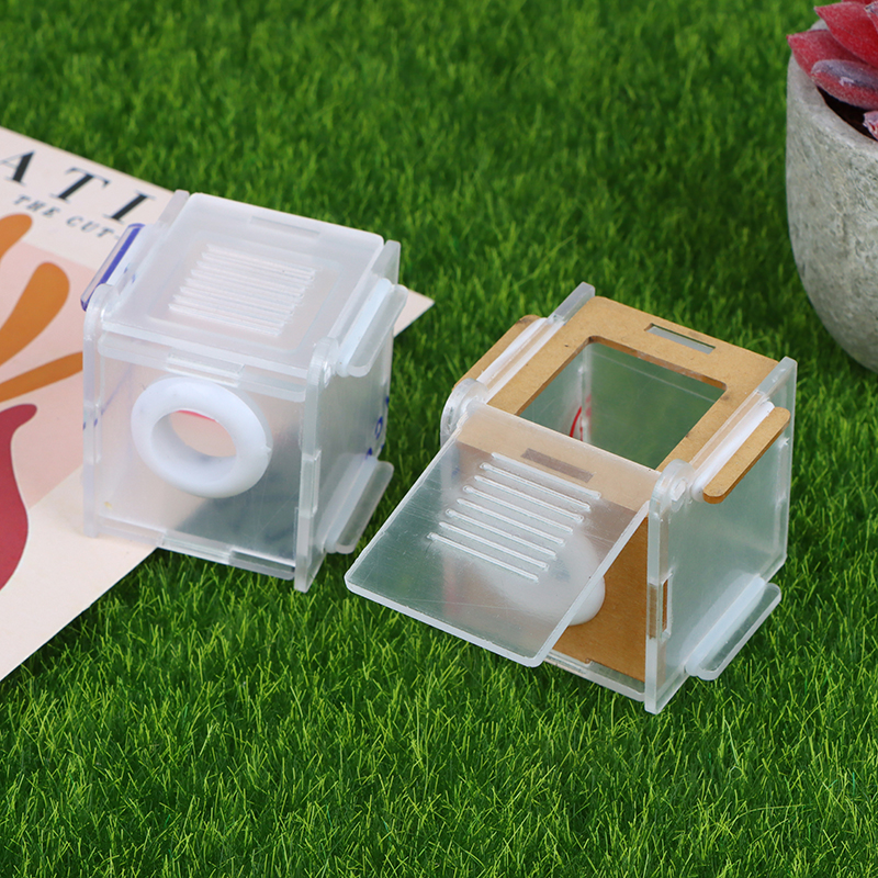 Acrylic high transparency ant  - Farming Zone recensie en prijs